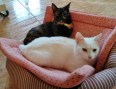 Cloe und Clarisa